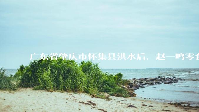 广东省肇庆市怀集县洪水后，赵一鸣零食店被哄抢，物资和收银机里面的几千块钱被哄抢一空，如何评价？